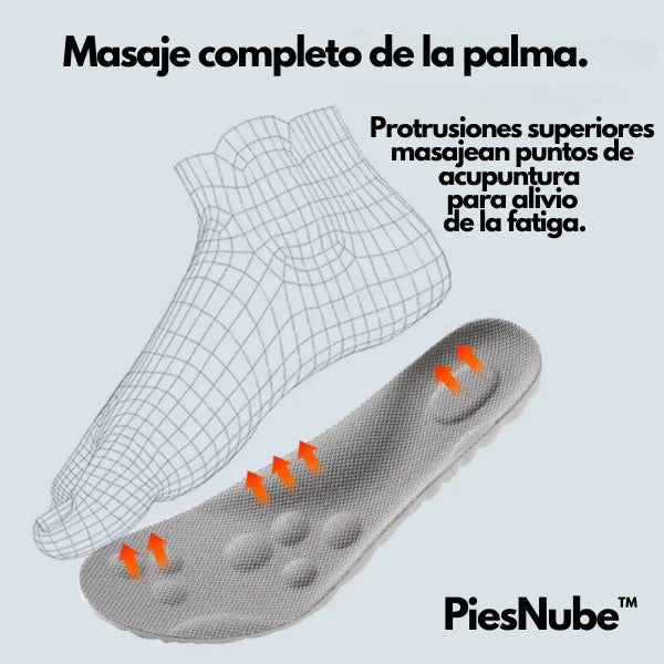 PiesNube