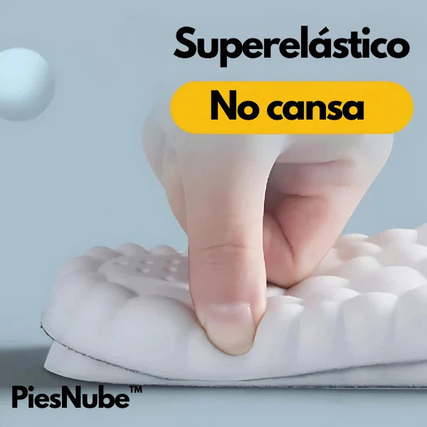 PiesNube